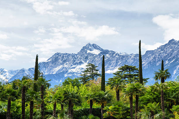 botanischer garten und die alpen - merano stock-fotos und bilder