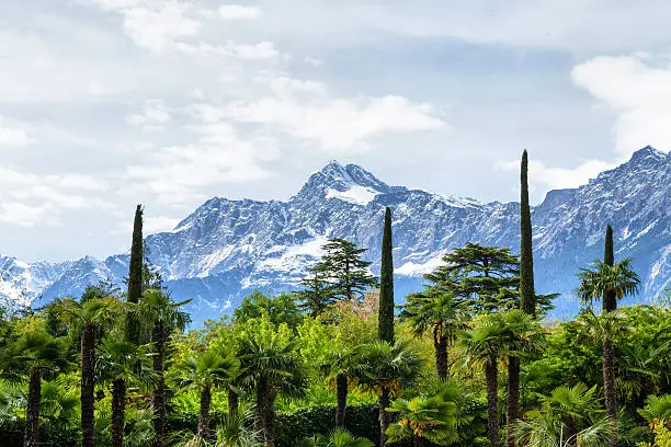 Botanic Garden and Alps - Merano (Italy)