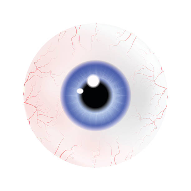 istock Image of realistic human eye ball with colorful pupil, iris. 498523976