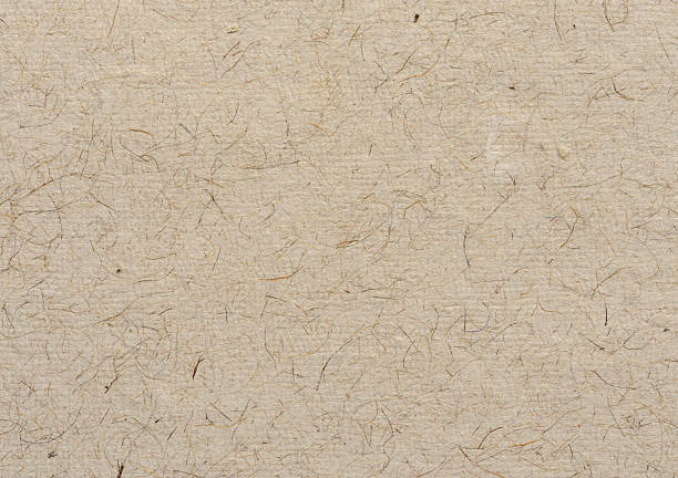 istock Brown paper with fiber grain  texture background 498524910