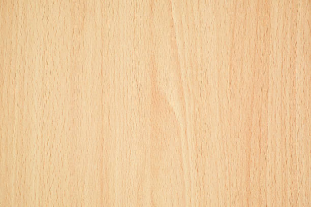 istock Texture of wood background 498526150
