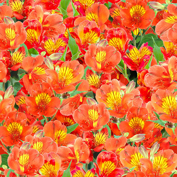 istock Seamless pattern of orange lily flowers 498526747