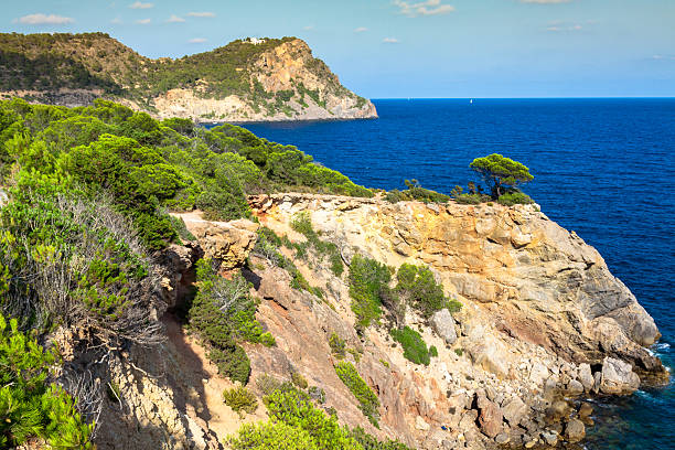 istock Cala Nova beach in Ibiza island in Balearic Mediterranean 498527339