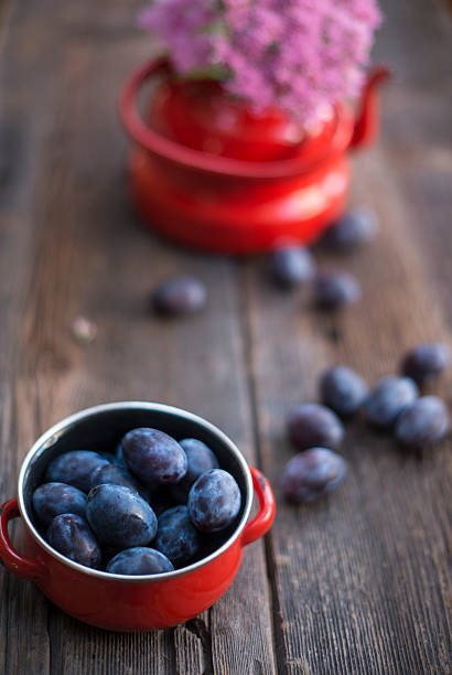 Blue plums stock photo