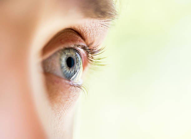 human eye macro human eye cornea stock pictures, royalty-free photos & images