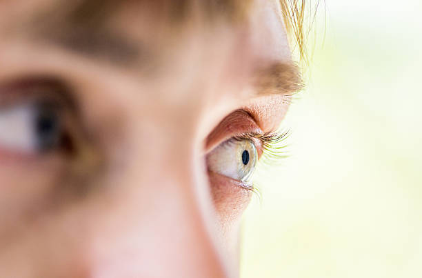 human eye macro human eye diabetec eye stock pictures, royalty-free photos & images
