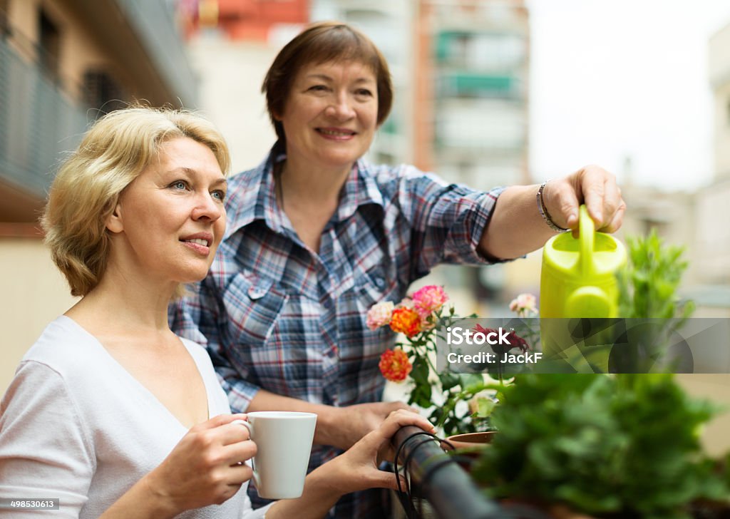 Two mature women drinking tea at terrace Two mature women drinking tea at terrace with decorative plants 50-59 Years Stock Photo