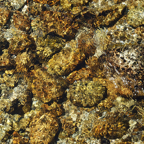 istock Close-up of riverbed through clear water flowing 498531356