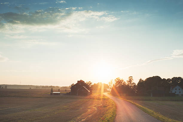 This photograph depicts a serene panorama of a pasture at dusk in Zasavica, Vojvodina, Serbia, where wooden stables and expansive fields stretch beneath a soft evening glow. Livestock and local agriculture form the heart of this rural setting, illustrating the region's longstanding farming traditions. The gentle transition from daylight to twilight adds a peaceful ambience, inviting viewers to appreciate the slower pace of countryside life. Zasavica exemplifies Vojvodina's agricultural heritage and natural beauty.