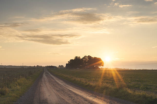 istock Landscape in Sweden with sunset 498531798