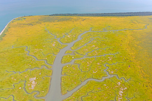 Colorful Estuary on the Alaska Peninsula in the Cook Inlet