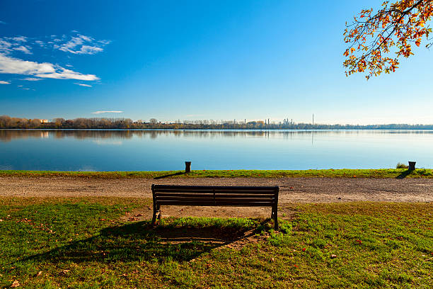 istock park bench in the lake 498535842