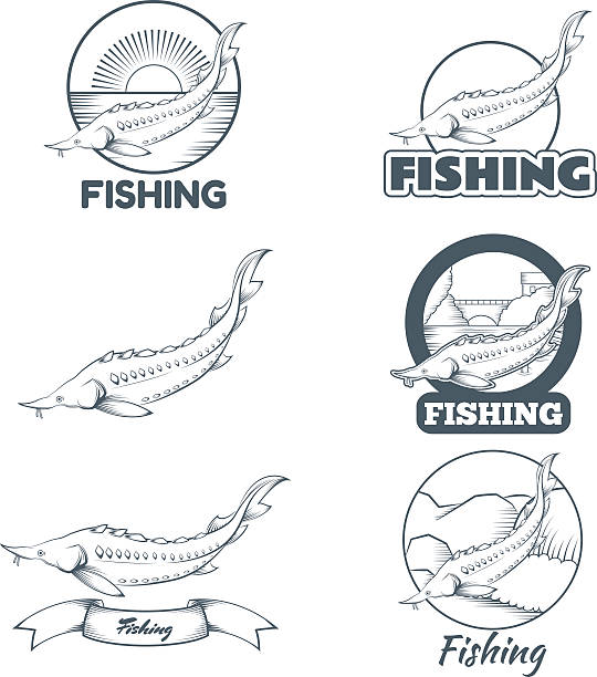 illustrazioni stock, clip art, cartoni animati e icone di tendenza di set di banner di storione - meal whale mammal animal