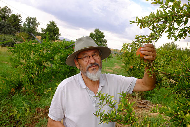 istock Portrait of a farmer 498547264