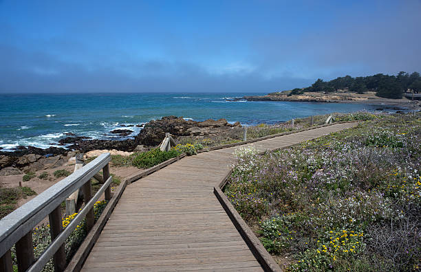 istock Path along Moonstone beach in Cambria California 498549055