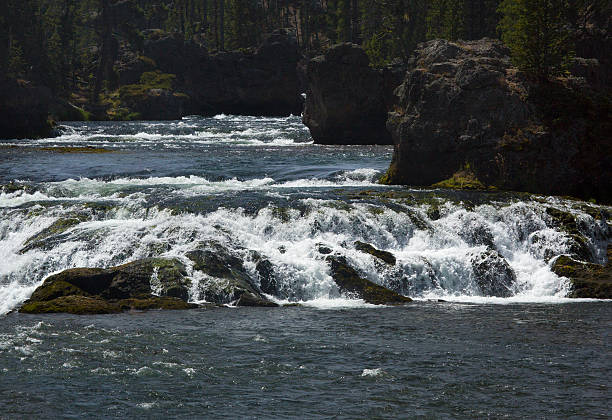 istock Waterfall above Upper Falls of the Yellowstone River, Wyoming. 498549334