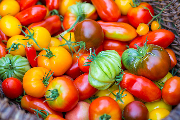 istock Variety of ripe tomatoes 498551120