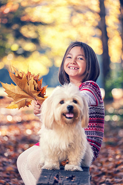 istock Beautiful little girl having fun in autumn forest 498553208