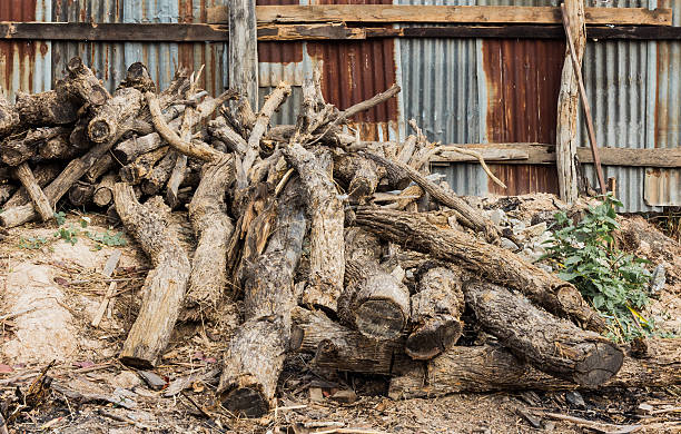 パイルの古い木製極 - tree removing house damaged ストックフォトと画像