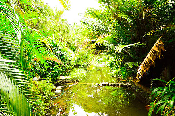 istock Botanical Garden, Taipei Taiwan 498553647