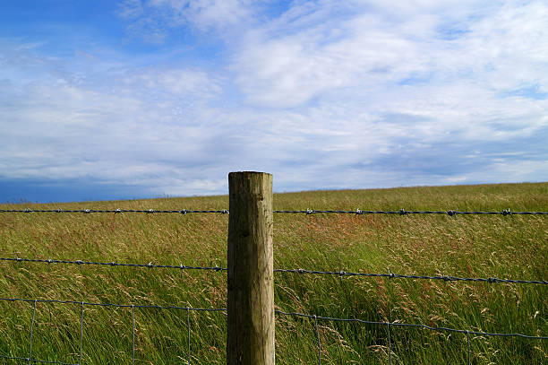istock Barbed-Wire Fence Outside Grassy Field 498553727