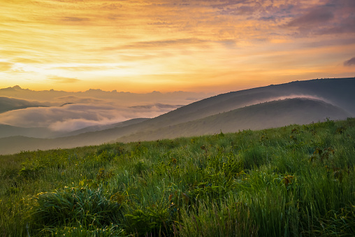 A lush sunrise from the top of Round Bald at Roan Mountain right before the sun came up. 