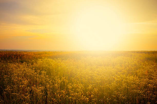 istock Beautiful Sunset Landscape-XXXL 498554075