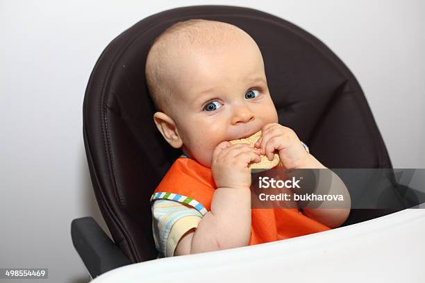 Bebê Comer Um Cookie - Fotografias de stock e mais imagens de 6-11 meses - 6-11 meses, Alimentar, Alimentação Saudável