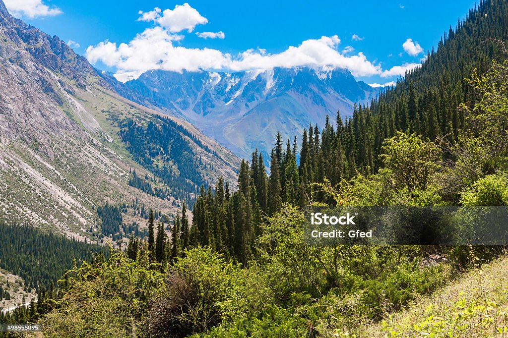 Teskey Ala-Too Range Tian Shan Mountains: Asia Stock Photo