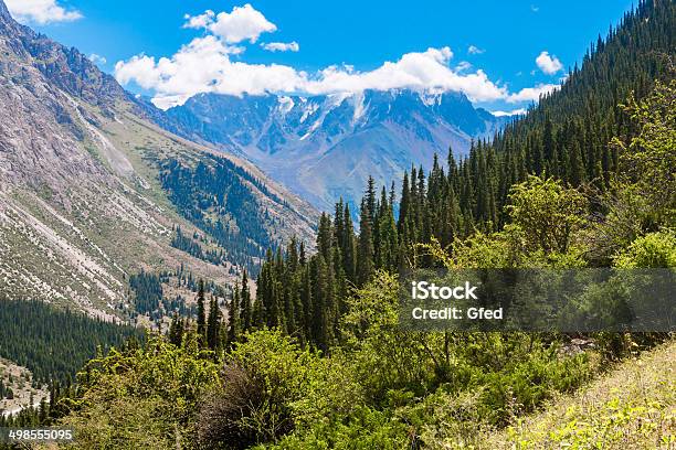 Teskey Alatoo Range Stock Photo - Download Image Now - Asia, Aspirations, Awe