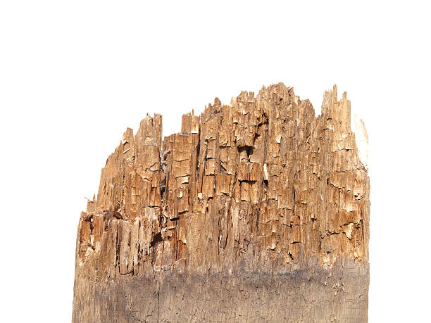 Old rotten boards from one end isolated on white background...