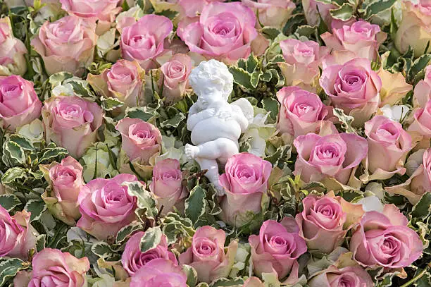 Photo of Pink roses and an angel