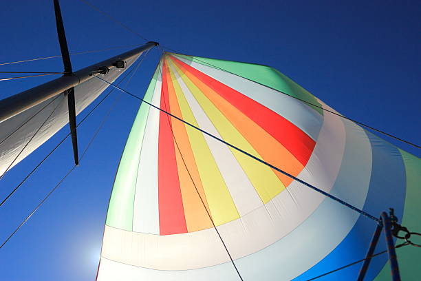 istock The wind has filled colorful spinnaker sail 498556023