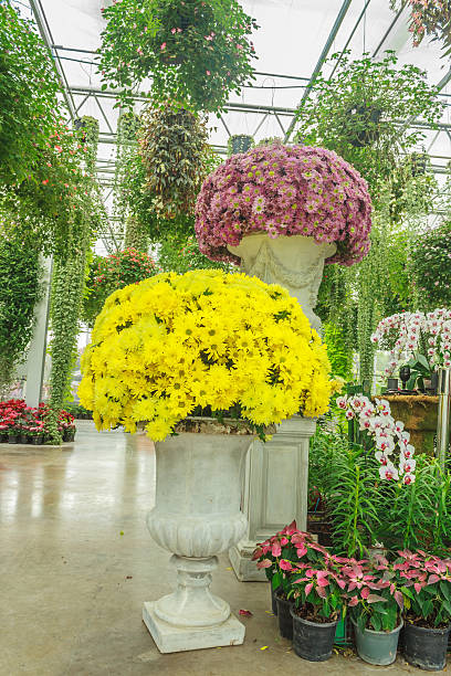 istock The flower garden 498565793
