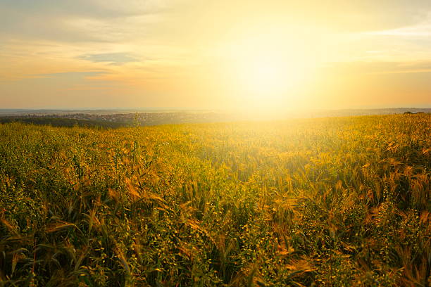 istock Beautiful Sunset-XXXL 498566195