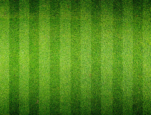 istock Soccer football grass field 498566615