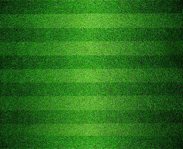 istock green lined football or soccer field 498566695