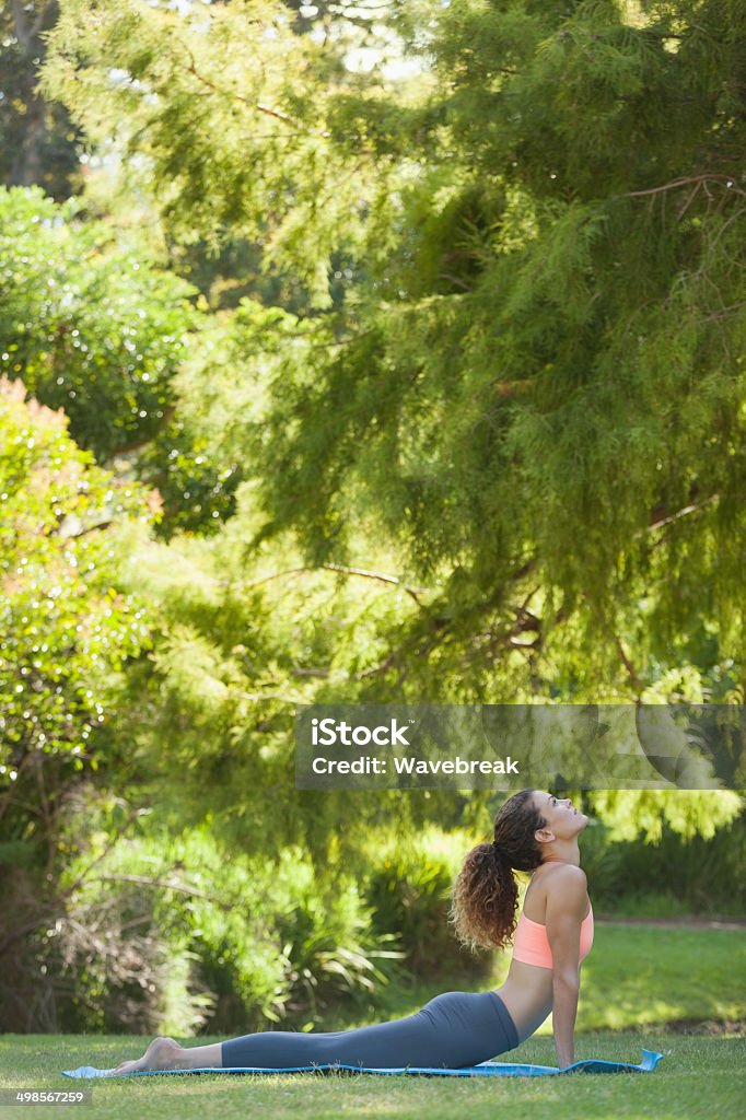 Fit woman stretching in cobra pose Fit woman stretching in cobra pose in the park on a sunny day 30-39 Years Stock Photo