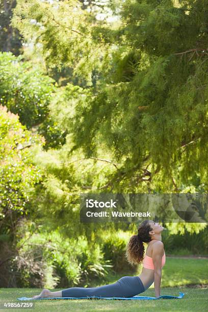 Fit Woman Stretching In Cobra Pose Stock Photo - Download Image Now - 30-39 Years, Active Lifestyle, Adult