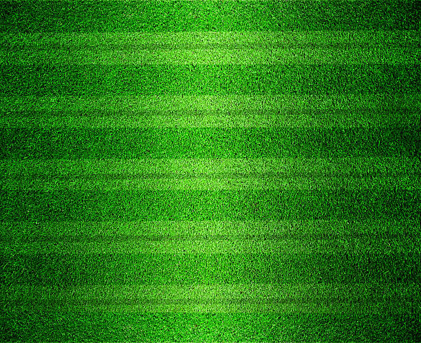 istock grass lined football or soccer field 498567741