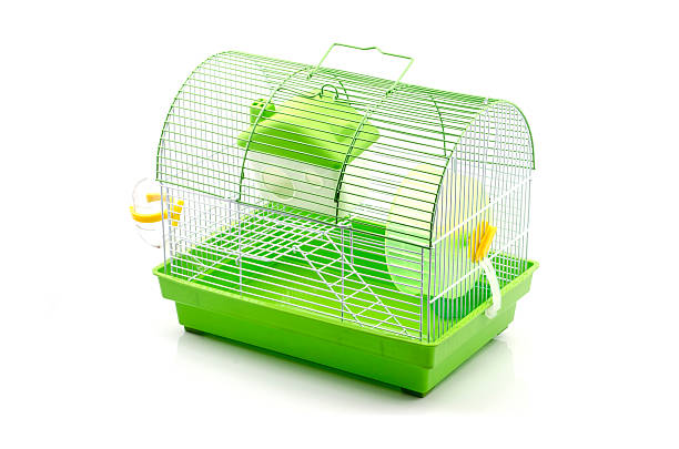 petit jaune cage pour hamsters - hamster cage birdcage isolated photos et images de collection