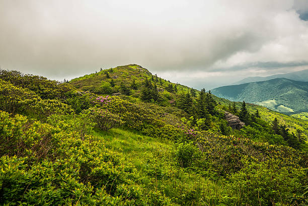grassy ridge vista - landscape landscaped tennessee mist fotografías e imágenes de stock