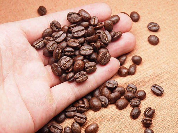 istock part of hand with coffee crop beans on fabric textile 498570651