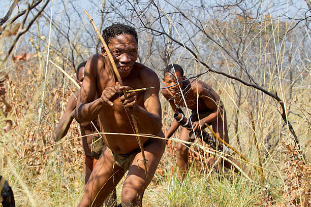 Grashoek, Namibia - August 20, 2011: Ju/'Hoansi or San bushmen hunters in the african bush. Many tourists came to visit then in The Living Museum at Grashoek, where they perform many activities like dancing, chanting and hunting simulation.  Today the San Bushmen are found only in the northwestern South Africa, northern Namibia and Botswana The bushmen are gatherer hunters living in very dry areas, their biggest stronghold is the Kalahari desert. Today the government don´t allow then to hunt anymore, so they normally lives on wild fruits and roots they can find in the bush.