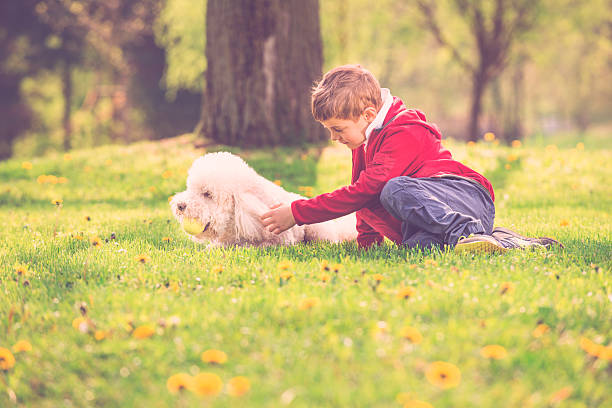istock Child and Dog Playing at Park 498571031