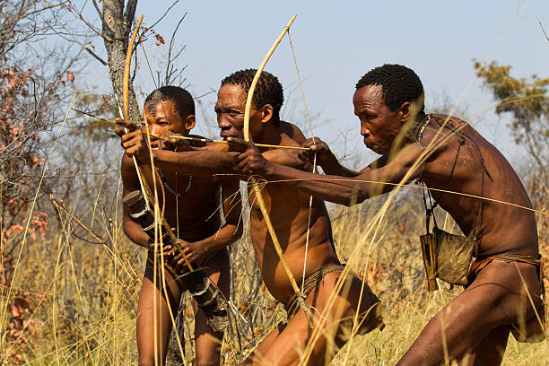 Grashoek, Namibia - August 20, 2011: Ju/'Hoansi or San bushmen hunters in the african bush. Many tourists came to visit then in The Living Museum at Grashoek, where they perform many activities like dancing, chanting and hunting simulation.  Today the San Bushmen are found only in the northwestern South Africa, northern Namibia and Botswana The bushmen are gatherer hunters living in very dry areas, their biggest stronghold is the Kalahari desert. Today the government don´t allow then to hunt anymore, so they normally lives on wild fruits and roots they can find in the bush.