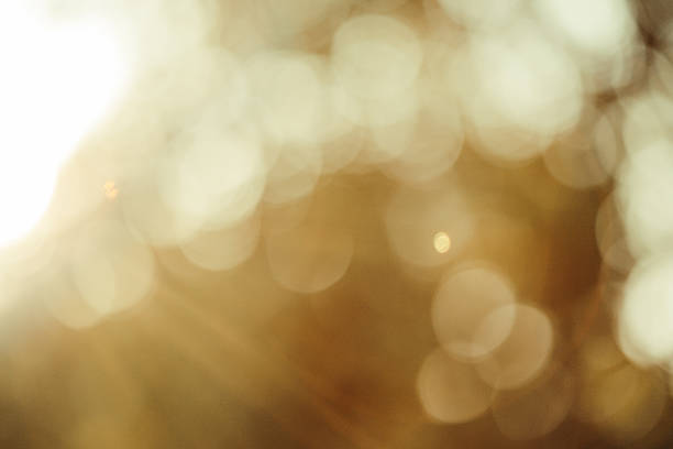 istock Out of focus natural  bokeh background 498571654