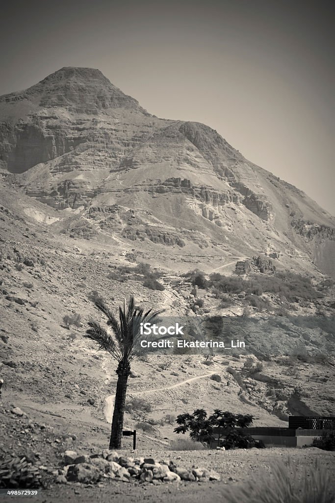 Paisaje del desierto, escena bíblica - Foto de stock de Desierto Judeano libre de derechos