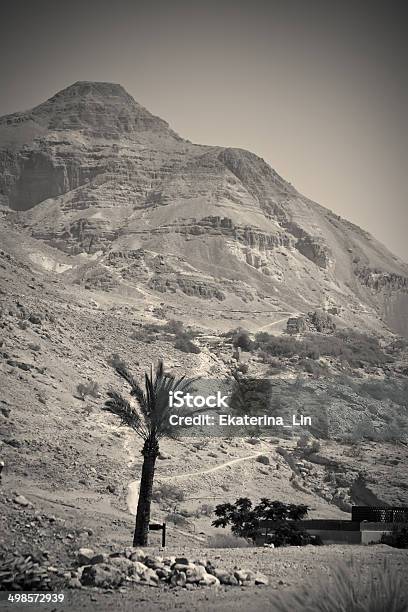 Paisaje Del Desierto Escena Bíblica Foto de stock y más banco de imágenes de Desierto Judeano - Desierto Judeano, Viaje, Aire libre