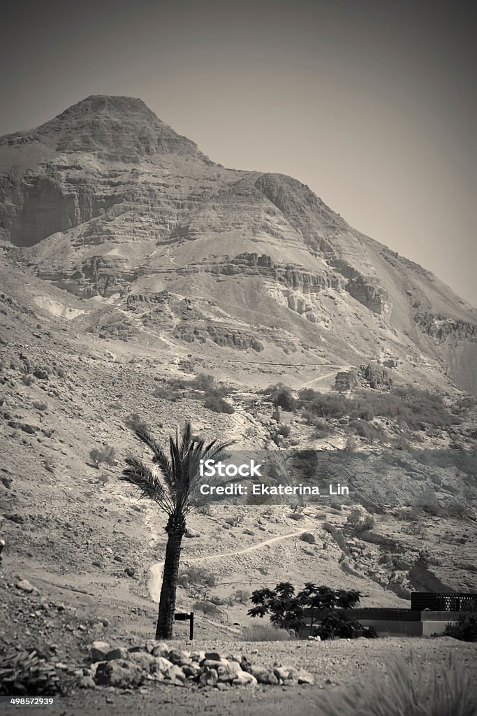 Paesaggio del deserto, scena biblica - Foto stock royalty-free di Deserto di Giudea